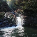 Kulübede yangın! 25 güvercin yanarak can verdi – Birlik Haber Ajansı