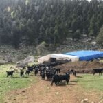 CHP Kars Milletvekili Alp: “Barışın ruhu Demirtaş’ın tahliyesini gerektiriyor” – Birlik Haber Ajansı