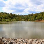 Filistinli kıza IGC sahip çıktı – Birlik Haber Ajansı