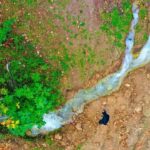 Türkiye-Almanya işgücü anlaşması’nın 64. yılı – Birlik Haber Ajansı