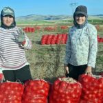 Beşiktaş-Fenerbahçe derbisinin hakemi belli oldu: İlk kez derbi yönetecek – Birlik Haber Ajansı