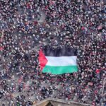 81 ilde “Özgürlüğe Yürüyoruz” etkinlikleri