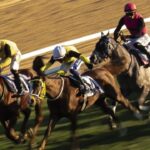 Bakan Bak Gençler Ses Yarışmasında Şarkı Söyledi – Birlik Haber Ajansı