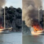 Bakan Yerlikaya: “Ülkesine dönen Suriyelilerin sayısı 550 bini buldu” – Birlik Haber Ajansı