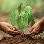 Vali Ergün Arhavi’de ziyaret ve incelemelerde bulundu – Birlik Haber Ajansı