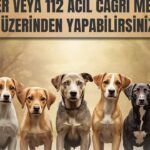 AK Parti Isparta Teşkilatında sessiz denge değişimi – Birlik Haber Ajansı