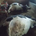 Ankara’da Anlamlı Ödül; Kritik ham maddede milli atılım! – Birlik Haber Ajansı