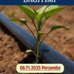 Her YHT bileti bir fidan olacak – Birlik Haber Ajansı