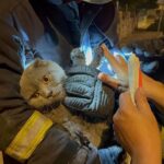 Bulancak’ta cadde sokak numaraları güncelleniyor – Birlik Haber Ajansı