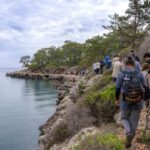 Siber suç operasyonlarında 539 kişi yakalandı – Birlik Haber Ajansı