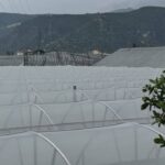 Antalya Demre’de hortum seraları vurdu – Birlik Haber Ajansı