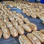 Isparta’da kurt saldırıları üreticiyi bezdirdi – Birlik Haber Ajansı