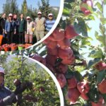 Batman’da günlük 40 bin ekmek ücretsiz dağıtılıyor – Birlik Haber Ajansı