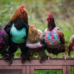 İliç maden faciası davasında 4. duruşma yarın: 43 kişi yargılanıyor – Birlik Haber Ajansı