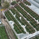 İstanbul’da yaşam maliyeti 100 bin lirayı aştı! – Birlik Haber Ajansı