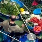 Bu yıl 550 milyona yakın fidan toprakla buluşacak – Birlik Haber Ajansı