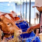 Konya’da servis kazası: 13’ü öğrenci 14 yaralı – Birlik Haber Ajansı