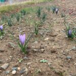 Küçük yüreklerden büyük bağış: 11 milyon liralık dayanışma – Birlik Haber Ajansı