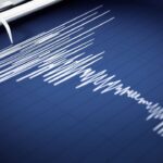 Dünyanın en sağlıklı zeytinyağı litresi 1500 TL’den satışta – Birlik Haber Ajansı