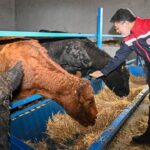 e-İmza sahteciliği soruşturmasında örgüt yapısı deşifre edildi: 123 sanık hakkında iddianame kabul edildi – Birlik Haber Ajansı