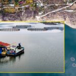 Serbest Muhasebeci Mali Müşavir Şevket Koç: “Ekmekte KDV yüzde 1’dir, masa var diye artmaz” – Birlik Haber Ajansı