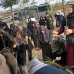 Başkent Üniversitesi’nden 2025 UI GreenMetric Dünya Üniversiteler sıralamasında büyük başarı – Birlik Haber Ajansı