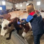 Kaymakam Kahraman’dan başarılı öğrencilere ödül – Birlik Haber Ajansı