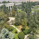 Batman’a ücretsiz fidan dağıtımı – Birlik Haber Ajansı