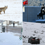 Beypazarı trafik kazası 1 kişi öldü 3 kişi de yaralandı – Birlik Haber Ajansı